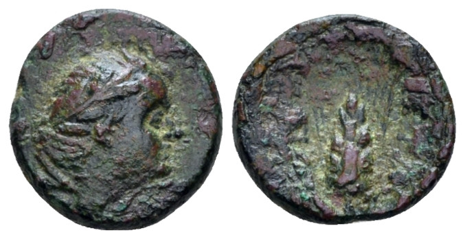 Lucania, Metapontum Bronze circa 300-250, Æ 12.00 mm., 1.40 g.
Head of Pan r., ...