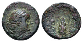Lucania, Metapontum Bronze circa 300-250 (Starting Bid £ 35 *)