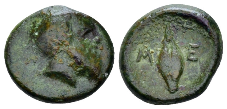Lucania, Metapontum Bronze circa 300-250, Æ 12.00 mm., 2.00 g.
Head of Satyr r....