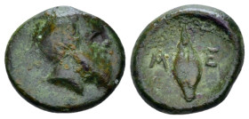 Lucania, Metapontum Bronze circa 300-250 (Starting Bid £ 40 *)