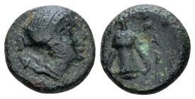 Lucania, Metapontum Bronze circa 225-200 (Starting Bid £ 25 *)