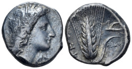 Lucania, Metapontum Nomos circa 330-290 (Starting Bid £ 120 *)