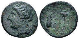Lucania, Metapontum Bronze circa 300-250 (Starting Bid £ 25 *)