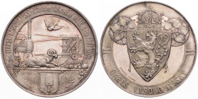 FRANZ JOSEPH I (1848 - 1916)
 Silver medal District Agricultural Exhibition in Vysoke Myto 1906 46 mm, Ag 900/1000, V. Šmakal, Haus 3848 25.14 g. EF ...