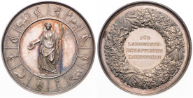 PRUSSIA
 Silver medal For Merits in the Field of Agriculture b. l. 42 mm, Ag 900/1000, D. Loos 26.58 g. UNC | UNC
