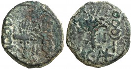 Octavio Augusto. Acci (Guadix). Semis. (FAB. 35 var) (ACIP. 3002a). 4,30 g. Escasa. BC+.