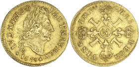 Louis XIV - 1/2 louis d'or aux 4 L 1693 N (Montpellier)
Flan réformé.

Or - 3,32 grs - 21,5 mm
G.240
TTB
R

Rare ! Réformation assez discrète.