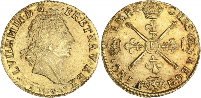Louis XIV - Louis d’or aux Insignes 1704 E (Tours)
Flan réformé.

Or - 6,66 grs ...
