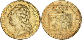 Louis XVI - Louis d’or à la tête nue 1788 H (La Rochelle)

Or - 7,56 grs - 23 mm
G.361
TB+
R

Exemplaire agréable.