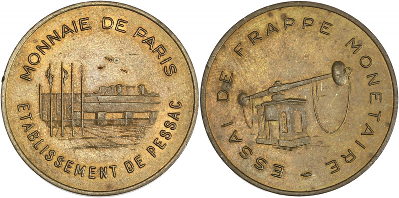 Essai de frappe avec différent - module 100 francs Panthéon 

Cupro-alu - 10,99 ...