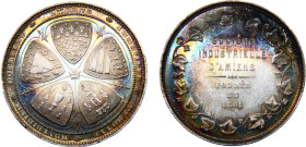 France Second Empire Napoleon I Jeton 1861 Amiens Industrial Company Silver UNC 18.8g