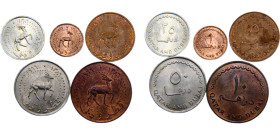 Qatar and Dubai British protectorate 1 Dirham & 5, 10, 25, 50 Dirhams 1966-1969 Royal mint 5 Lots Bronze, Copper-nicke BU KM# 1-5