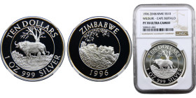Zimbabwe Republic 10 Dollars 1996 (Mintage 5000) Top Pop, Wildlife Landmarks, Motopo Hills Silver NGC PF70 KM# 8