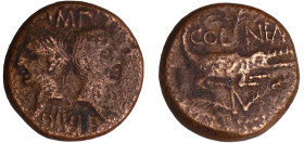 Agrippa et Auguste - As (10-14 av. J.-C., Nîmes)
A/ IMP DIVI F. Têtes adossées d'Auguste tête nue, et d'Agrippa tête laurée. 
R/ COL NEM. Crocodile ...