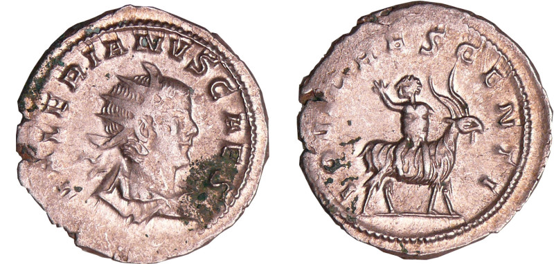 Valérien II - Antoninien (257-258, Cologne) - Chèvre
A/ VALERIANVS CAES. Buste ...