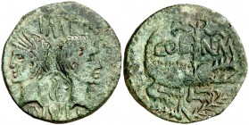 (después 16/15 a.C.). Agripa y Augusto. Nemausus (Nimes). Dupondio. (Spink 1729) (Co. 7) (RIC. 157). 11,78 g. Pátina verde. MBC+.