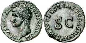 (80-81 d.C.). Druso. As. (Spink 2594) (Co. 6) (RIC. 437, de Tito). 8,87 g. Bella. EBC.