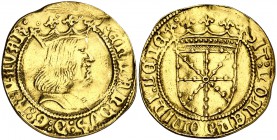 Fernando I (1512-1516). Navarra. Doble real de oro. (Cru.V.S. 1313) (Cru.C.G. 3216). 6,93 g. Sirvió como joya. Rarísima. (MBC-/MBC+).