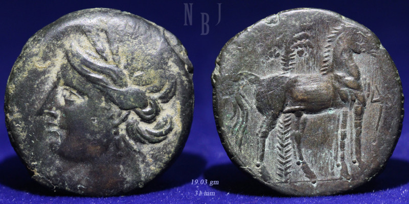 Carthage Æ Dishekel. After 241 BC. (19.03gm, 31mm). Wreathed head of Tanit to le...