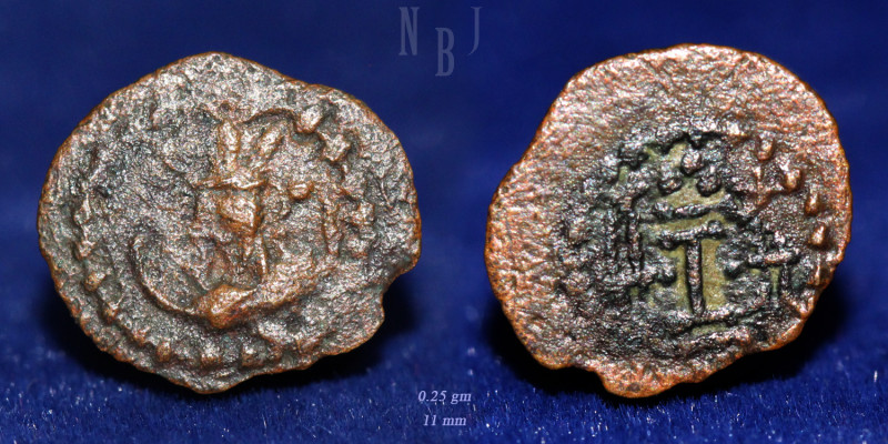 SASANIAN EMPIRE. Shapur II, 309-379 AD. AE Unit, (0.25gm, 11mm). Crowned draped ...