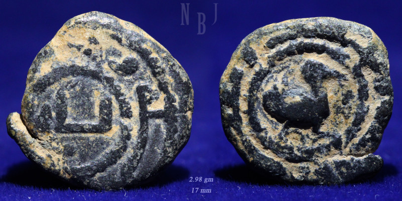 Islamic Coin Umayyad Fals: Obv: Lillah (for God). Rev: BIRD/Duck standing right ...