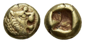 KINGS OF LYDIA. Sardes. Alyattes (Circa 610-560 BC). EL 1/12 Stater-Hemihekte. (7mm, 1.2 g) Obv: Head of roaring lion right, with star on forehead. Re...