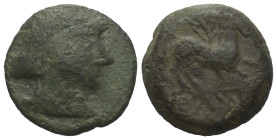 Spanien.

 Bronze. Ca. 220 - 20 v. Chr.
Nachahmung karthagischer Prägungen.

Vs: Kopf rechts.
Rs: Pferd nach rechts galoppierend, dahinter Palme...