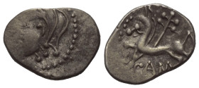Gallien. Bituriges.

 Quinar (Silber).
Vs: Kopf links.
Rs: Pferde nach links stehend, darüber Zweig, CAM.

17 mm. 2,01 g. 

de la Tour 4139; D...