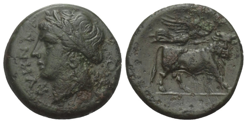 Samnium. Teanum Sidicinum.

 Bronze. Ca. 265 - 240 v. Chr.
Vs: Büste des Apol...