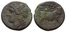 Kampanien. Neapolis.

 Bronze. Ca. 275 - 250 v. Chr.
Vs: Kopf des Apollon mit Lorbeerkranz links.
Rs: Androkephaler Stier nach rechts stehend, dar...