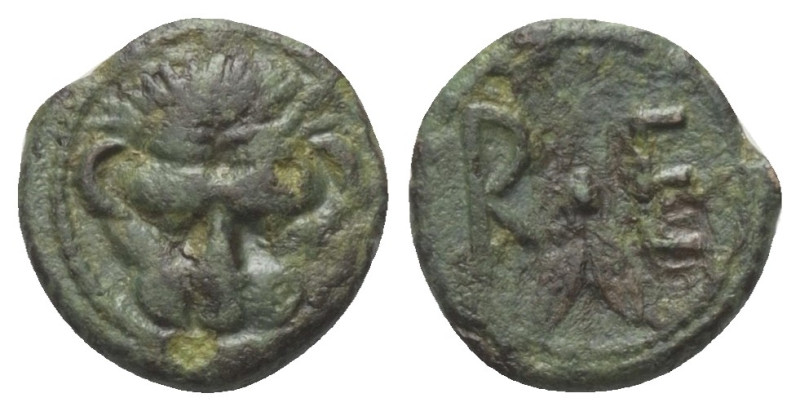 Bruttium. Rhegion.

 Bronze. Ca. 351 - 280 v. Chr.
Vs: Löwenkopf en face.
Rs...