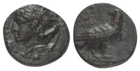 Sizilien. Akragas.

 Bronze. Ca. 287 - 282 v. Chr.
Vs: Kopf des bartlosen Zeus Hellanios mit Lorbeerkranz links 
Rs: Adler nach rechts stehend, Ko...