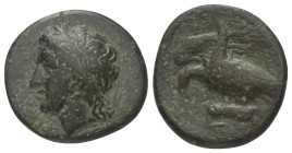 Sizilien. Akragas. Phintias (282 - 277 v. Chr.).

 Bronze.
Vs: Kopf des Zeus Hellanios mit Lorbeerkranz links 
Rs: Adler mit gespreizten Flügeln a...