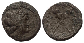 Sizilien. Syrakus. Unter römischer Herrschaft.

 Bronze. Nach 212 v. Chr.
Vs: Kopf der Demeter / Persephone (?) mit Ährenkranz rechts.
Rs: Zwei ge...