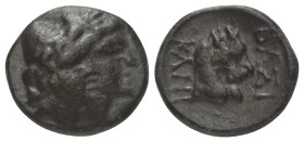 Thrakisch-Skythische Dynasten. Kanites (ca. 160 - 100 v. Chr.).

 Bronze. Ungesicherte Münzstätte.
Vs: Die Köpfe der Dioskuren nebeneinander rechts...
