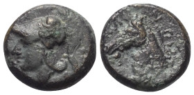 Anonyme Prägungen.

 Litra. Kurz vor 269 v. Chr. Rom (oder Neapolis?).
Vs: Kopf der Minerva mit korinthischem Helm links.
Rs: Pferdekopf nach link...