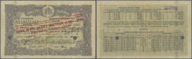 Bulgaria: 10.000 Leva ND(1922) P. 29, rare note, stronger center and horizontal fold, several creases in paper, 2 cancellation holes, bank perforation...