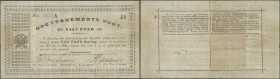 South Africa: 5 Pounds 1900 Boer War note P. 61, used with several folds and creases, pinholes, no tears, condition: F.