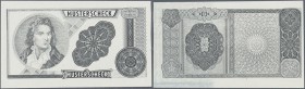 Testbanknoten: Test Note / Test Print Drent Goebel, Germany, small size Note (about 7x4cm) with both side intaglio printed design and wording ”Musters...