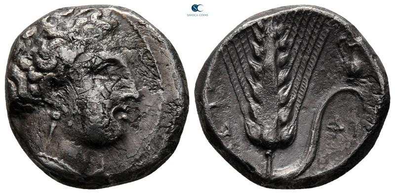 Lucania. Metapontion circa 330-290 BC. 
Didrachm AR

19 mm, 7,53 g



ver...