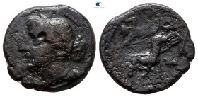 Bruttium. The Brettii circa 214-211 BC. Bronze Æ