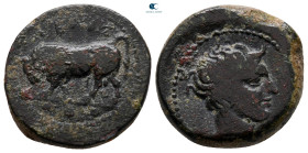 Sicily. Gela circa 420-405 BC. Tetras Æ