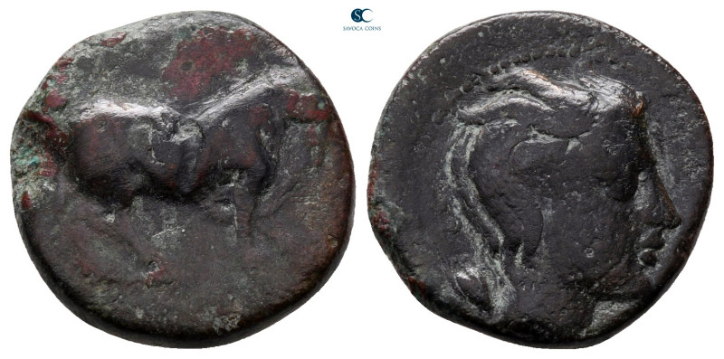 Sicily. Gela circa 420-405 BC. 
Tetras Æ

17 mm, 3,80 g



nearly very fi...