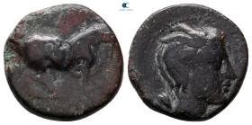 Sicily. Gela circa 420-405 BC. Tetras Æ