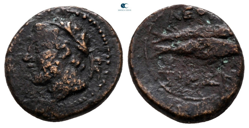 Sicily. Leontinoi after circa 210 BC. 
Bronze Æ

14 mm, 1,58 g



very fi...
