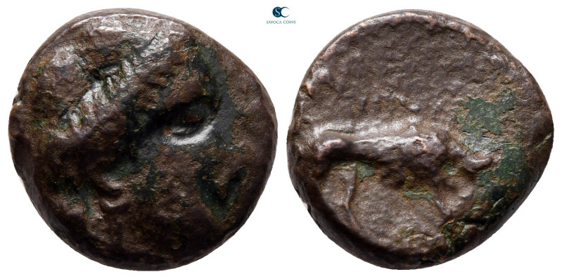 Sicily. Segesta circa 420-380 BC. 
Bronze Æ

16 mm, 4,73 g



nearly very...