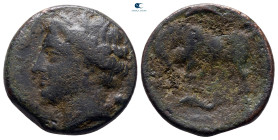 Sicily. Syracuse. Agathokles 317-289 BC. Bronze Æ