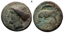 Sicily. Syracuse. Agathokles circa 317-289 BC. Bronze Æ