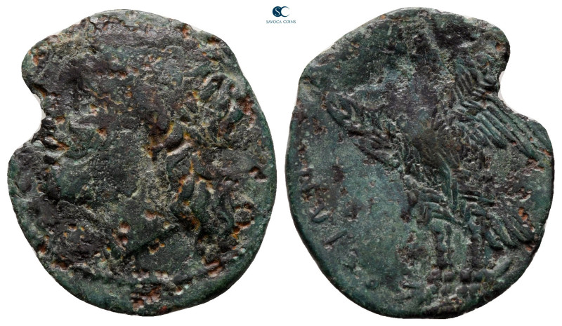 Sicily. Syracuse. Hiketas 287-278 BC. 
Bronze Æ

22 mm, 2,45 g



nearly ...