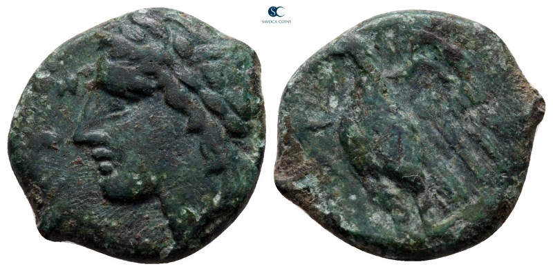Sicily. Syracuse. Hiketas II 287-278 BC. 
Bronze Æ

17 mm, 4,04 g



near...